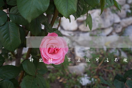 什么情況下法院可以不做工程造價鑒定