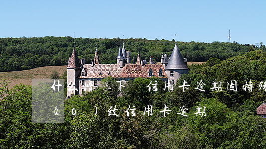 什么情況下為信用卡逾期(因特殊情況導(dǎo)致信用卡逾期)