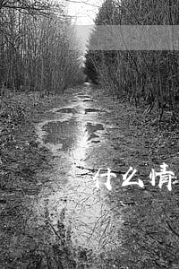 什么情況下算自動離婚