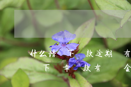什么情況下罰款逾期沒有滯納金嗎-什么情況下違章罰款有滯納金