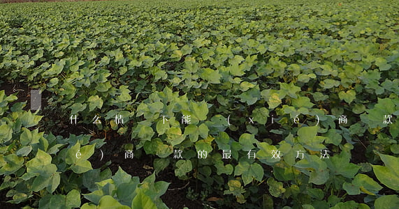 什么情況下能協(xié)商還款(協(xié)商還款的最有效方法)
