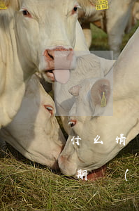 什么情況下逾期會(huì)被起訴（今年逾期會(huì)被起訴嗎）