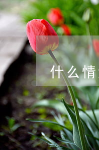 什么情況下需要找律師(找律師注意什么)