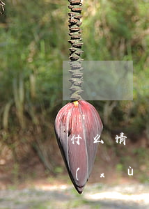 什么情況下需要請律師(請律師需要什么手續(xù)嗎?)