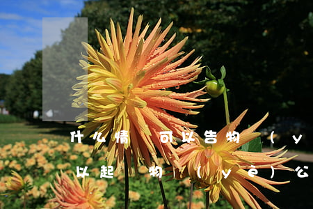 什么情況可以告物業(yè)(什么情況下可以起訴物業(yè)公司)