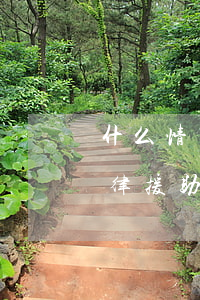 什么情況可以找法律援助律師(找律師還是法律援助)