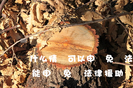 什么情況可以申請免費法律援助(什么條件才能申請免費法律援助)