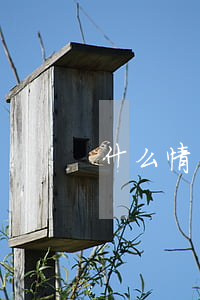 什么情況屬于無力償還(怎么樣才算無力償還)