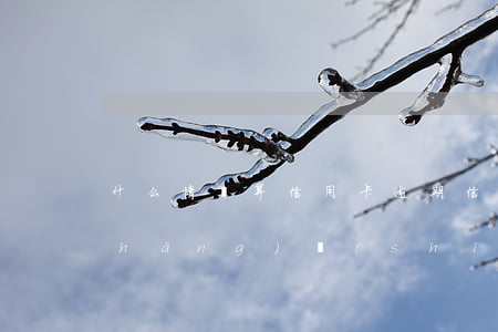 什么情況算信用卡逾期（信用卡逾期多長(zhǎng)時(shí)間會(huì)被追查）