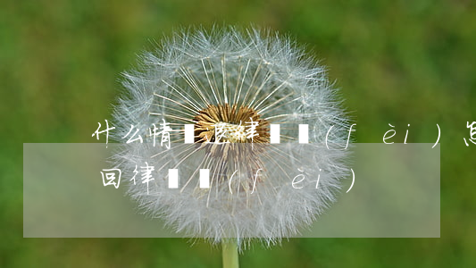 什么情況退律師費(fèi)(怎樣讓律師退回律師費(fèi))