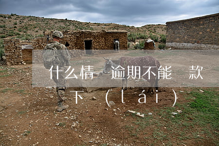 什么情況逾期不能貸款嗎(有逾期貸款能不能貸下來(lái))