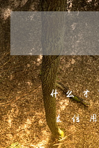 什么才算是信用卡惡意透支(什么樣算惡意透支信用卡)