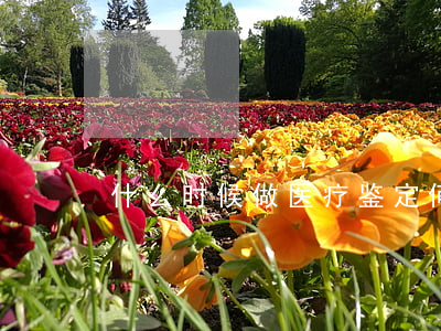什么时候做医疗鉴定,何时会终止医疗鉴定
