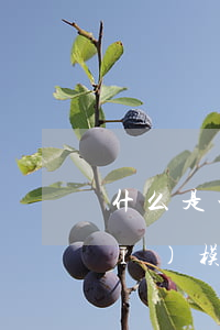 什么是一般納稅人(一般納稅人和小規(guī)模納稅人的區(qū)別)
