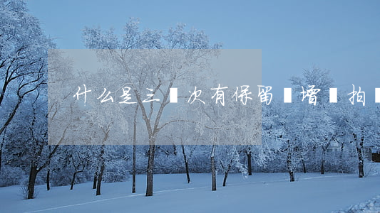什么是三輪次有保留價增價拍賣方式