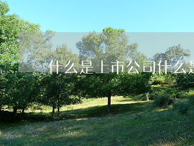 什么是上市公司(什么是上市公司的獨立董事)