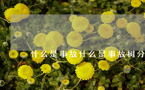 什么是事故(什么是事故树分析)