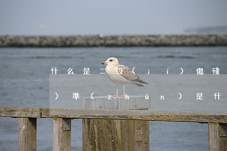 什么是二級(jí)傷殘鑒定標(biāo)準(zhǔn)是什么