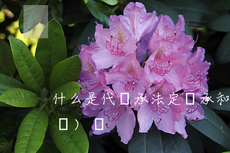 什么是代繼承(法定繼承和代位繼承的區(qū)別)