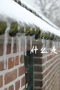 什么是企业性质(什么是企业的性质)