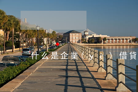 什么是企業(yè)借貸融資