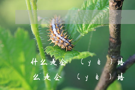 什么是企業(yè)培訓(xùn)制度(什么是企業(yè)培訓(xùn)制度)