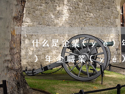 什么是企業(yè)年金(什么是企業(yè)年金職業(yè)年金)