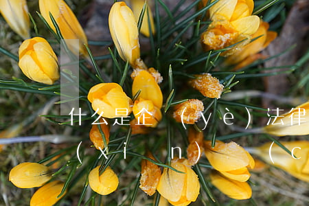 什么是企業(yè)法律風(fēng)險(xiǎn)檢測(cè)作用