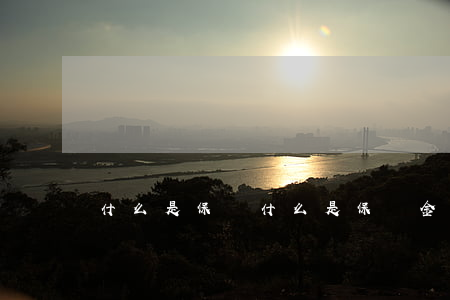 什么是保釋(什么是保釋金返還嗎)