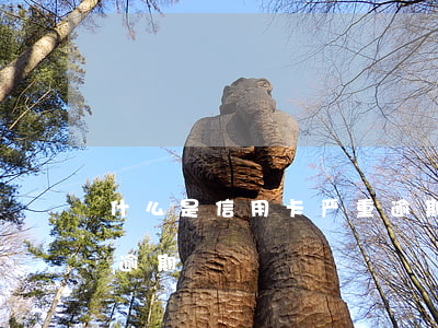什么是信用卡严重逾期（所有贷款信用卡全面逾期）