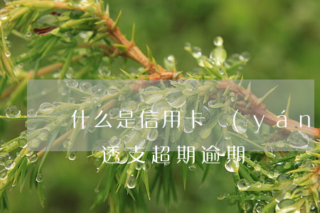 什么是信用卡嚴(yán)重逾期（信用卡大額透支超期逾期）