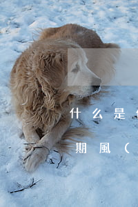 什么是信用卡嚴(yán)重逾期（信用卡逾期風(fēng)險(xiǎn)評(píng)估）
