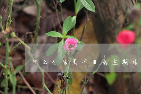 什么是信用卡惡意逾期（信用卡逾期H型）