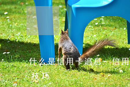 什么是信用卡追息-信用卡利息違約金退回技巧