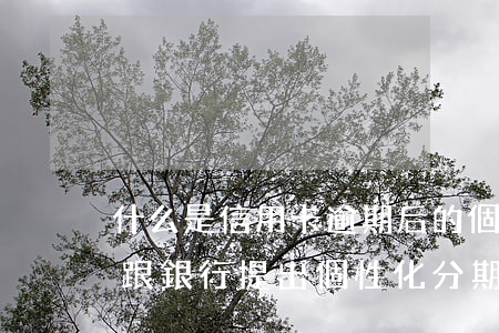 什么是信用卡逾期后的個性化分期 逾期怎么跟銀行提出個性化分期