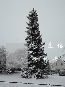 什么是信用卡逾期呆賬-呆賬轉逾期后辦理信用卡