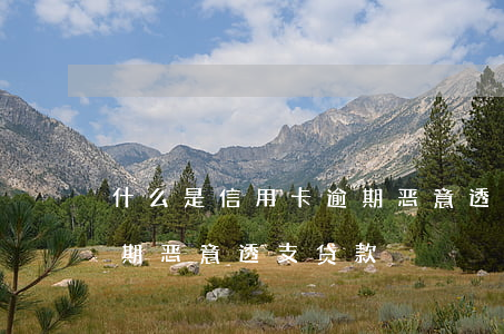 什么是信用卡逾期恶意透支 什么是信用卡逾期恶意透支贷款