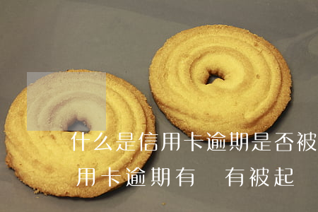 什么是信用卡逾期是否被起訴(怎么能知道信用卡逾期有沒有被起訴)