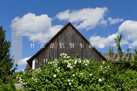 什么是信用卡逾期違約金(今年的信用卡逾期有什么處理)