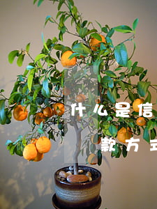 什么是信用卡逾期還款-什么是信用卡逾期還款方式