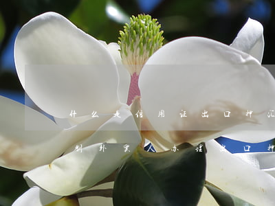 什么是信用证出口押汇（哪些情况银行是会限制外贸人办理出口押汇）