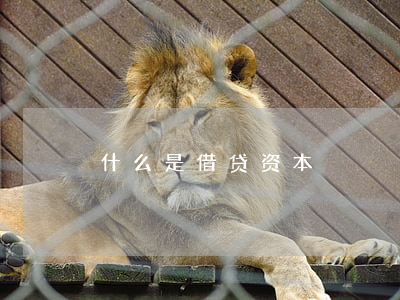 什么是借贷资本