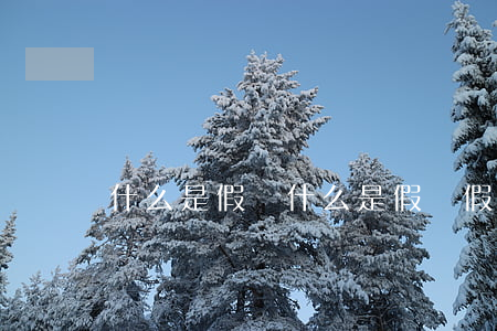 什么是假釋(什么是假釋,假釋的條件是什么)