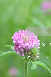 什么是停息挂账?信用卡怎么办停息挂账-什么是停息挂账?信用卡怎么办停息挂账?