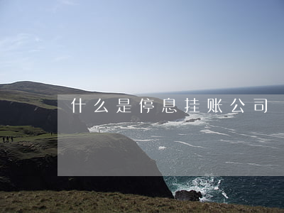 什么是停息挂账公司