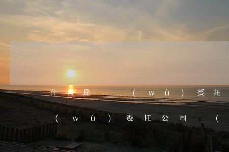 什么是債務(wù)委托公司-什么是債務(wù)委托公司轉(zhuǎn)讓