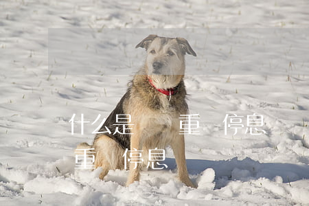 什么是債務重組停息掛賬機構-什么是債務重組停息掛賬機構
