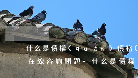 什么是債權(quán)債務(wù)律師在線咨詢問題-什么是債權(quán)債務(wù)律師在線咨詢問題呢