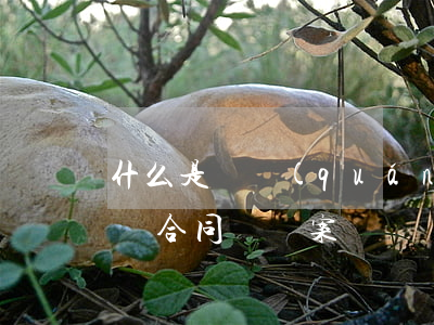 什么是債權(quán)轉(zhuǎn)讓合同糾紛案