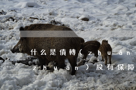 什么是債轉(zhuǎn)股(什么是債轉(zhuǎn)股,有保障嗎)